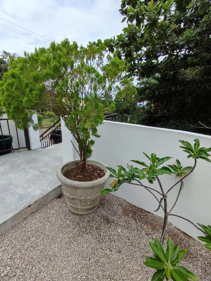 Riverside Mount Simpson Upper Beau Vallon  Buitenkant foto